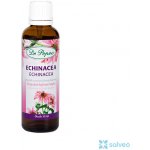 Dr. Popov Echinacea purpurea 50 ml – Hledejceny.cz