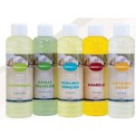 CamenaSpa Kiwi sorbet 1 l – Zboží Dáma