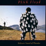 Pink Floyd - DELICATE SOUND OF THUNDER /VINYL`17 LP – Hledejceny.cz