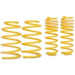 ST suspensions Sportovní pružiny VW Passat B5.5 (3BG) s poh. př. kol, Sedan, r.v. od 00 do 05, 1.8T/V5/V6 s man. přev./1.9TDI/2.0TDI, snížení 30/0mm | Zboží Auto