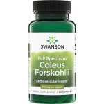 Swanson Coleus Forskohlii ForskolinAfrická Kopřiva 400 mg 60 kapslí – Hledejceny.cz