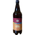 Topolský pivovar Topolský SVĚTLÝ LEŽÁK 11° 1 l (pet) – Zboží Dáma