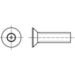 PROFISTYL DIN 7991 INBUS (IMBUS) šroub zapuštěná hlava vnitřní šestihran nerez A2 security Varianta: DIN 7991 inbus šroub zápustná hlava SECURITY nerez A2 M6x16 – Sleviste.cz