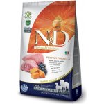 N&D Pumpkin Dog Adult Medium & Maxi Grain Free Lamb & Blueberry 2 x 12 kg – Hledejceny.cz