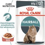 Royal Canin Hairball Care Gravy pro kočky ve šťávě pro správné vylučování smotků ve šťávě 24 x 85 g – Hledejceny.cz