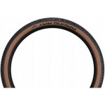 Schwalbe Racing Ray 29x2.25 skládací – Zboží Dáma Schwalbe Racing Ray 29x2.25 skládací – Zboží Dáma