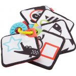 Fisher-Price 1 až 5 naučné karty – Sleviste.cz