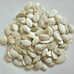 Apetit Dýně bílá neloupaná 0,4 kg – Hledejceny.cz
