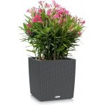 Lechuza Cube Cottage 30 cm Granit – Hledejceny.cz