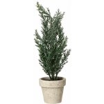 KAEMINGK Vánoční mini stromeček v květináči se třpytkami 1ks, 10x30cm - Štíhlý cypřiš – Hledejceny.cz