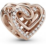 Pandora 789270C01 – Zbozi.Blesk.cz