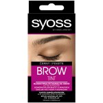 Syoss Brow Tint barva na obočí Black 10 ml – Zboží Dáma