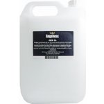 Angelwax Luminosity Matte QED Detail Spray 5 l – Sleviste.cz