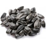 Biostan Biokron Slunečnice černá 5 kg – Zbozi.Blesk.cz