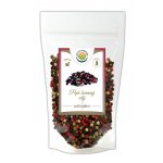 Salvia Paradise Pepř barevný celý 100 g – Sleviste.cz