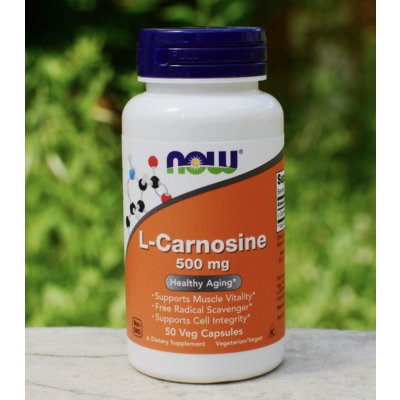 Now Foods Foods L-Karnosin 500 mg 50 kapslí – Hledejceny.cz