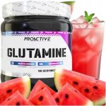 ProActive Glutamine 500 g – Hledejceny.cz