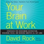 Your Brain at Work - Rock David, Walter Bob – Sleviste.cz