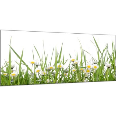 Obraz skleněný sedmikrásky v trávě - 50 x 125 cm – Zboží Mobilmania