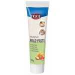 Trixie sladová pasta Multifruit 100 g – Hledejceny.cz