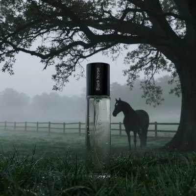 Neness Black Horse parfémovaná voda pánská 33 ml – Hledejceny.cz