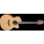 Takamine P3NC Natural – Zboží Mobilmania