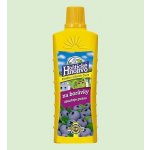 Forestina Hoštické tekuté hnojivo na borůvky 500 ml – Zboží Mobilmania
