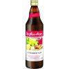 Šťáva Dr. Steinberger Bio Zázvor Mix ovocná šťáva 750 ml