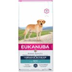 Eukanuba Labrador Retriever 12 kg – Hledejceny.cz