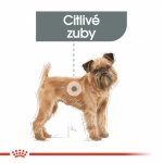 Royal Canin Mini Dental 8 kg – Zboží Mobilmania