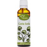 Serafin Gotukola tinktura z bylin 50 ml – Hledejceny.cz