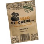 Seedstockers Amnesia AUTO semena neobsahují THC 25 ks – Zboží Dáma Seedstockers Amnesia AUTO semena neobsahují THC 25 ks – Zboží Dáma