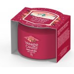 Yankee Candle Santa On Skis 37 g – Zboží Dáma