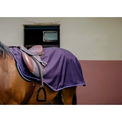 Equitème Deka bederní Tyrex 600D fleece plum – Hledejceny.cz