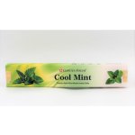 Garden Fresh indické vonné tyčinky Cool mint 15 g – Zboží Dáma
