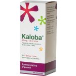 KALOBA 20 MG/7,5 ML SIRUP POR SIR 100ML – Sleviste.cz
