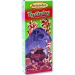 Avicentra Tyčinka Hlodavec ořechy a kokos 2 x 60 g – Sleviste.cz