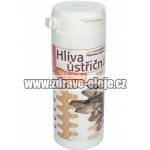 Nature force Hlíva ústřičná se Shii take 100 tablet – Hledejceny.cz
