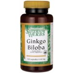 Swanson Ginkgo Biloba 60 mg 120 kapslí – Hledejceny.cz