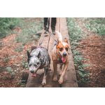Non-stop Dogwear Touring Double 13 mm – Zboží Dáma