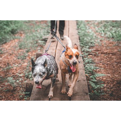 Non-stop Dogwear Touring Double 13 mm – Zboží Dáma
