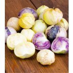 Mochyně dužnoplodá Physalis philadelphica prodej semen 5 ks – Zboží Dáma