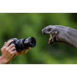 Panasonic Lumix DC-S1RM2 – Hledejceny.cz