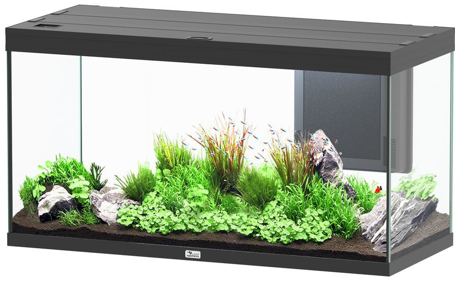 Aquatlantis Splendid Ultra 120x50 1 černá