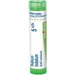 KALIUM IODATUM POR 5CH GRA 1X4G – Hledejceny.cz