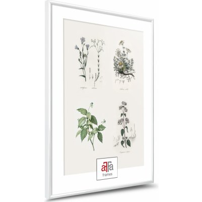 aFFa frames aFFa rámy, plastový obrazový rám, akrylové sklo, fotorámeček, plakátový rám, bílý, 50x70 cm – Zboží Mobilmania