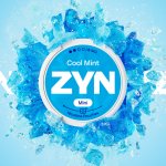ZYN COOL MINT 6 mg 20 sáčků – Hledejceny.cz