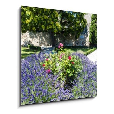 Obraz 1D - 50 x 50 cm - garden in Les Baux de-Provence, Provence, France zahrada v Les Baux de – Hledejceny.cz