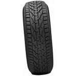 Riken Snow 195/65 R15 91T – Hledejceny.cz