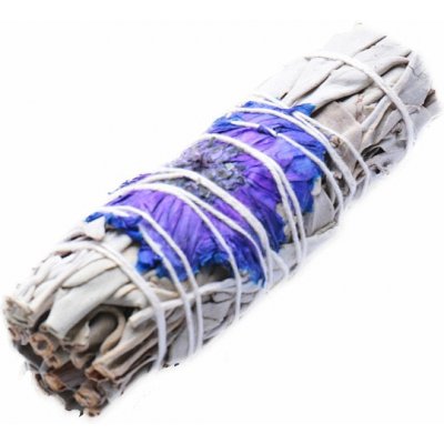 Nefertitis Šalvěj bílá Purple Daze vykuřovací svazek NF20162 cca 10 cm – Zbozi.Blesk.cz